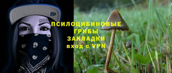 молекула духа Дмитриев