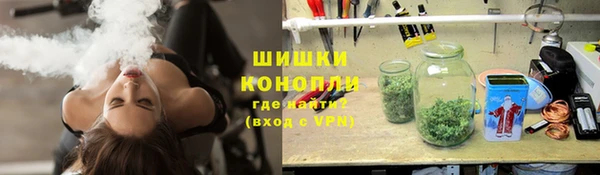 МДПВ Дмитров