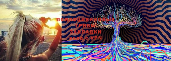МДПВ Дмитров