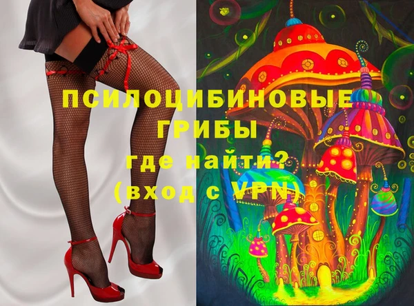 молекула духа Дмитриев