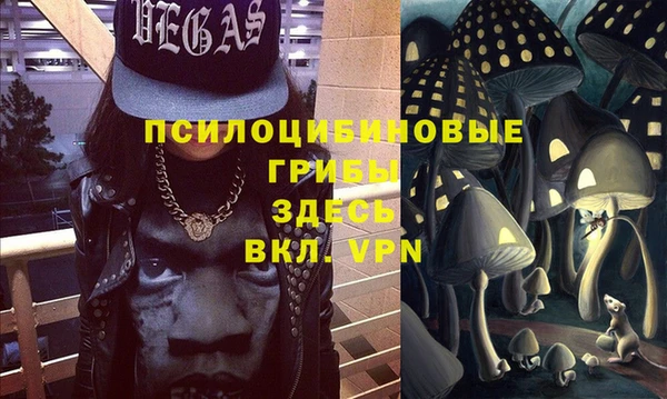 МДПВ Дмитров